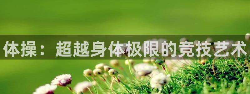 6t体育黑平台提不了款：体操：超越身体极限的竞技艺术