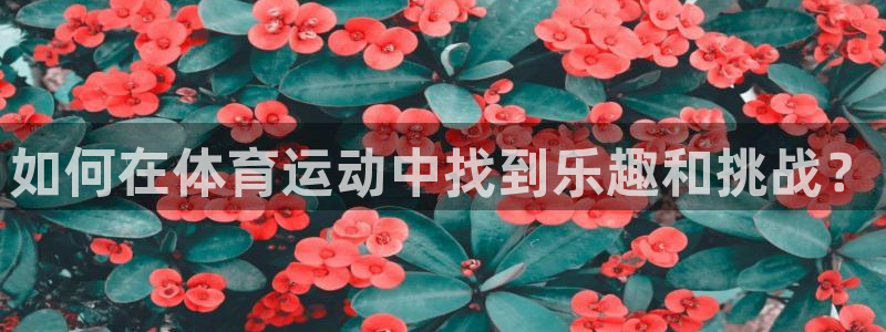 6t体育sports：如何在体育运动中找到乐趣和挑战？