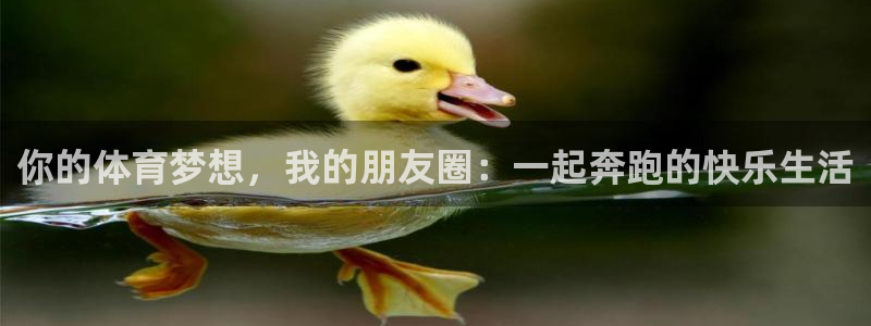 6t体育sports：你的体育梦想，我的朋友圈：一起奔跑的快乐生活